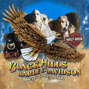 Vintage Harley-Davidson Sturgis tee NWT